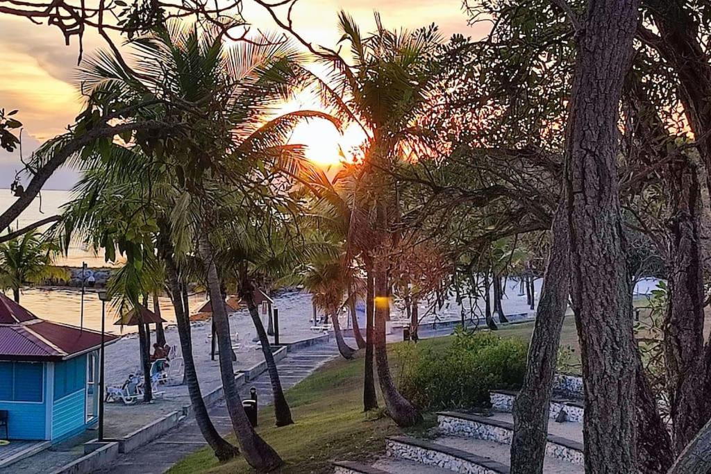 Studio Vue Mer Guadeloupe 圣安尼 外观 照片